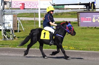 Ponnytrav 