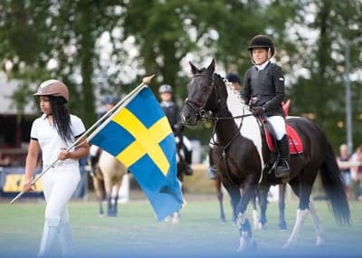 SM-GULD Vetlanda 🇸🇪 🏆