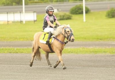 Ponnytrav 