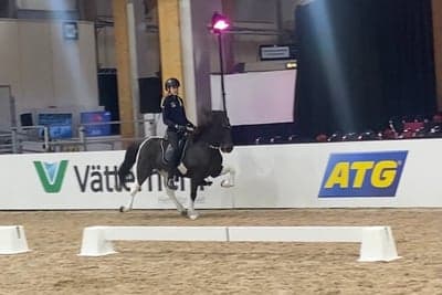 Jönköping Horse Show