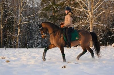 Världens bästa kille 💙